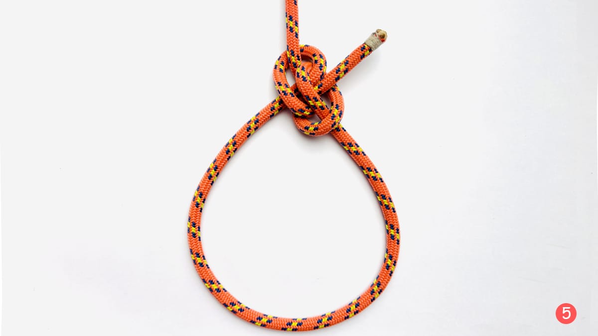 zeppelin-loop-step-5-how-to-tie-a-zeppelin-loop-knot-knotspedia