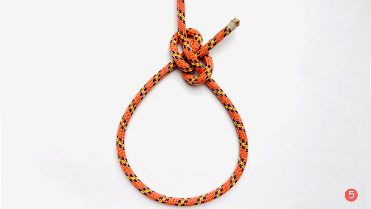 zeppelin-loop-step-5-how-to-tie-a-zeppelin-loop-knot-knotspedia
