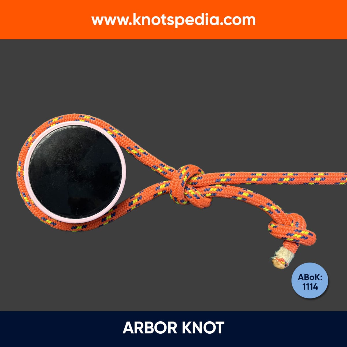 arbor-knot-diagram-how-to-tie-a-arbor-knot-knotspedia