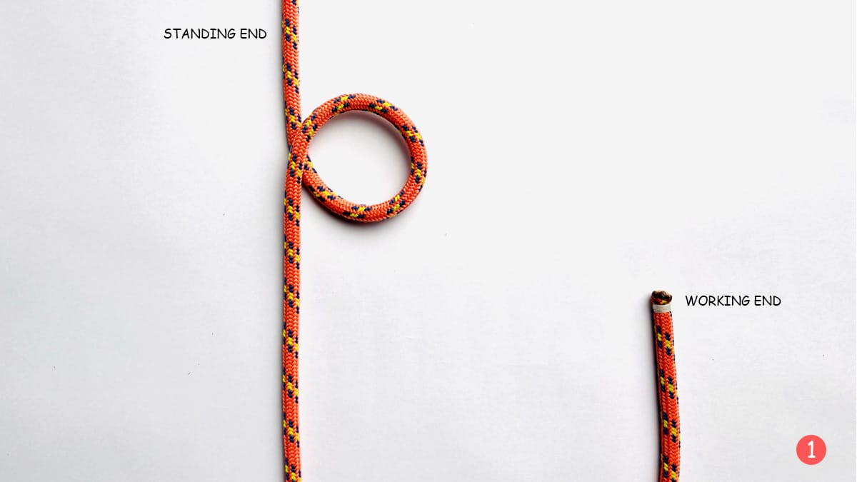 auto-locking-trucker's-hitch-step-1-how-to-tie-the-auto-locking-trucker's-hitch-knotspedia auto-locking-trucker's-hitch-step-1-how-to-tie-the-auto-locking-trucker's-hitch-knotspedia