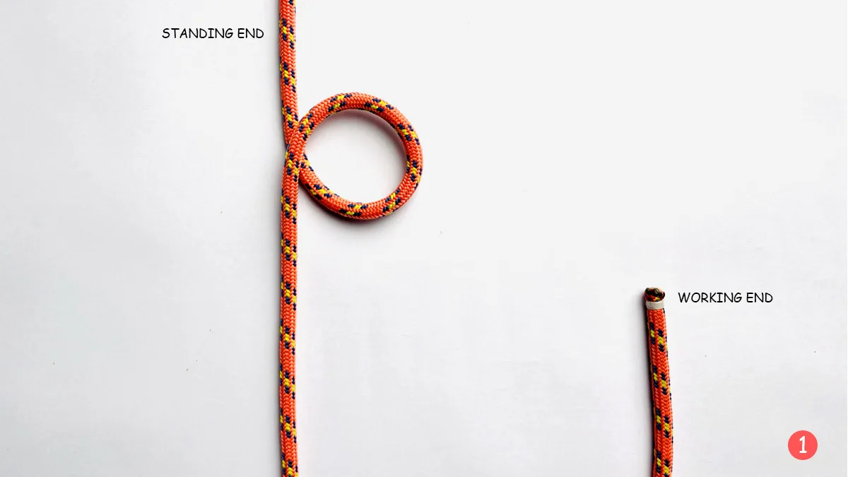 auto-locking-trucker's-hitch-step-1-how-to-tie-the-auto-locking-trucker's-hitch-knotspedia