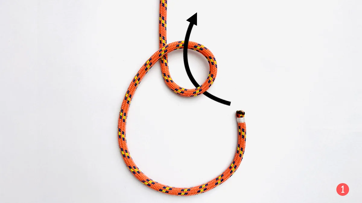bowline-knot-step-1-how-to-tie-the-bowline-knot-knotspedia