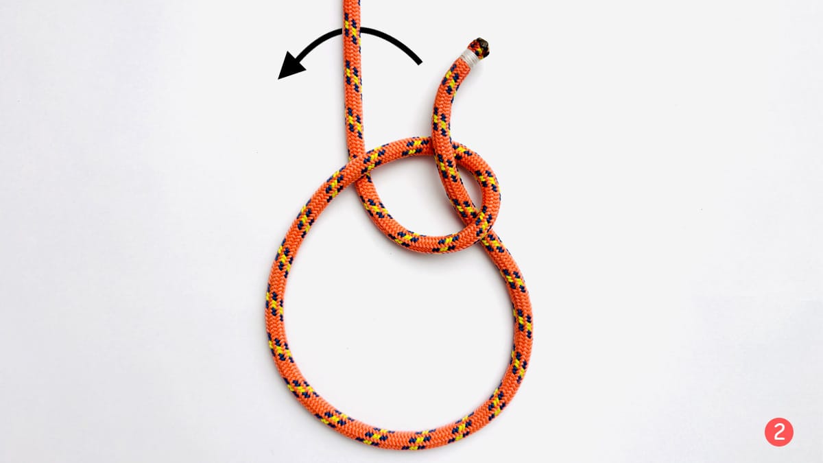 bowline-knot-step-2-how-to-tie-the-bowline-knot-knotspedia bowline-knot-step-2-how-to-tie-the-bowline-knot-knotspedia