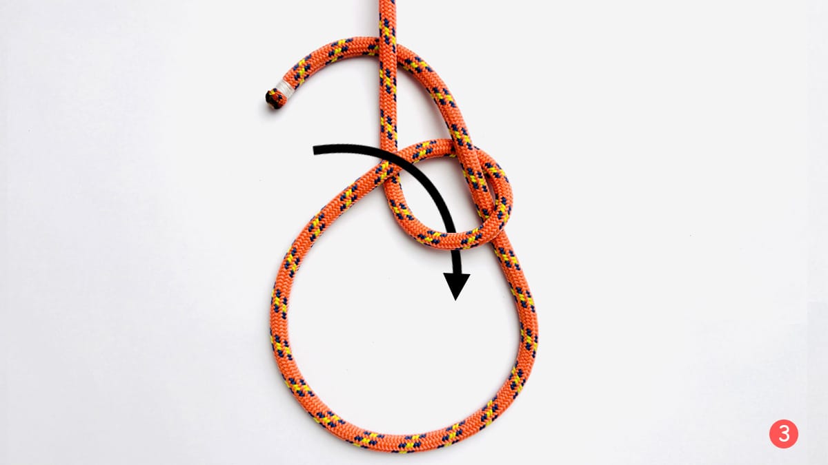 bowline-knot-step-3-how-to-tie-the-bowline-knot-knotspedia bowline-knot-step-3-how-to-tie-the-bowline-knot-knotspedia