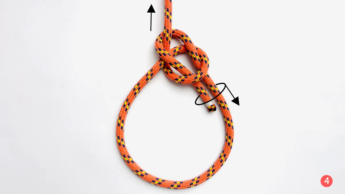 bowline-knot-step-4-how-to-tie-the-bowline-knot-knotspedia