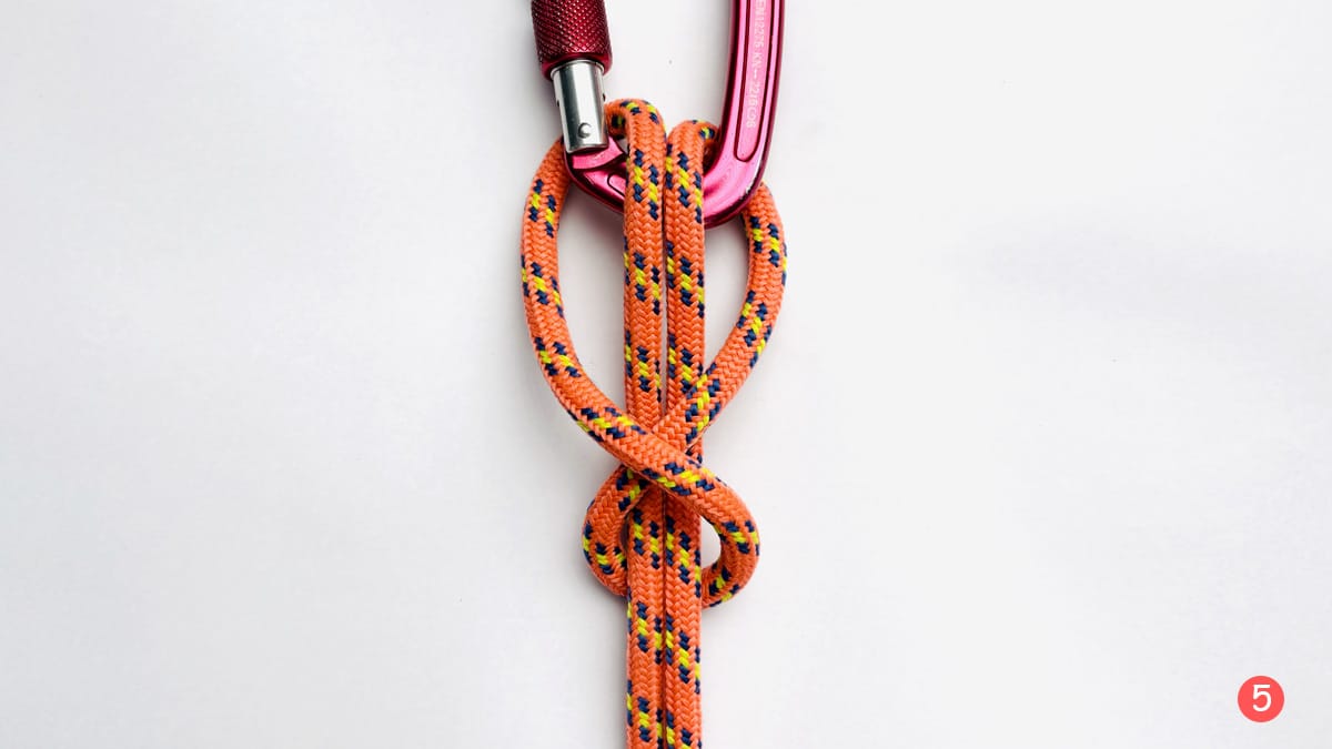 bull-hitch-alternative-method-step-5-how-to-tie-a-bull-hitch-knotspedia