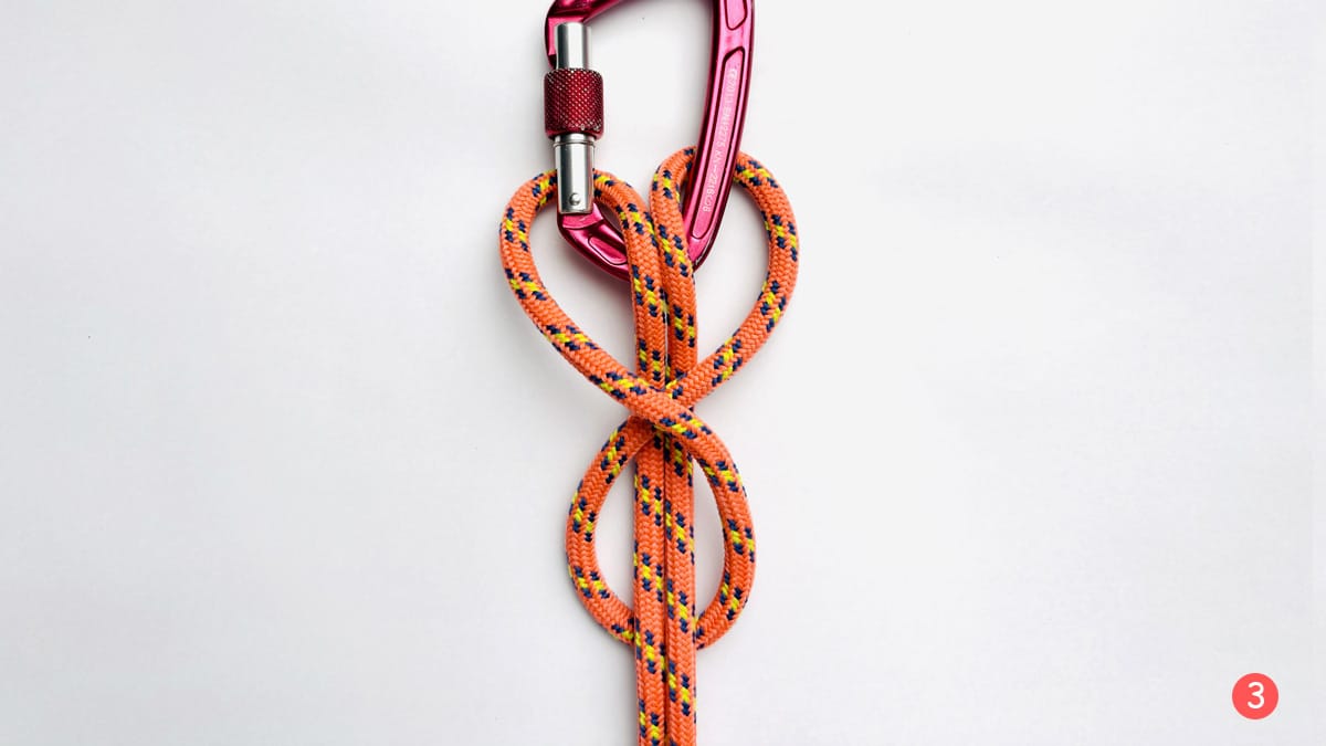 bull-hitch-bight-method-step-3-how-to-tie-a-bull-hitch-knotspedia