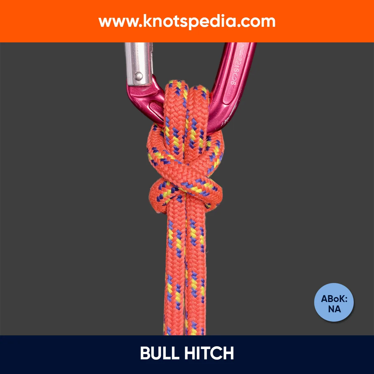 bull-hitch-diagram-how-to-tie-a-bull-hitch-knot-knotspedia
