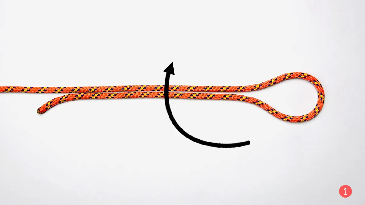 surgeon's-loop-knot-step-1-how-to-tie-the-surgeon's-loop-knot-knotspedia surgeon's-loop-knot-step-1-how-to-tie-the-surgeon's-loop-knot-knotspedia
