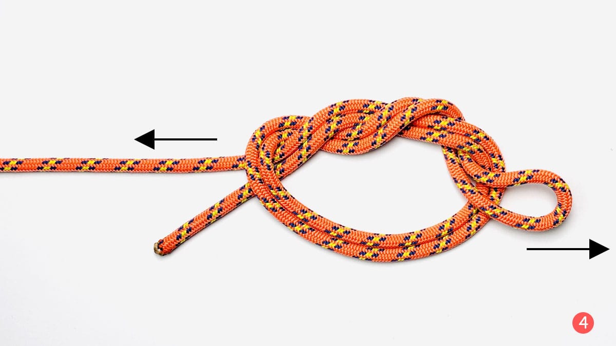 surgeon's-loop-knot-step-4-how-to-tie-a-surgeon's-loop-knot-knotspedia surgeon's-loop-knot-step-4-how-to-tie-a-surgeon's-loop-knot-knotspedia