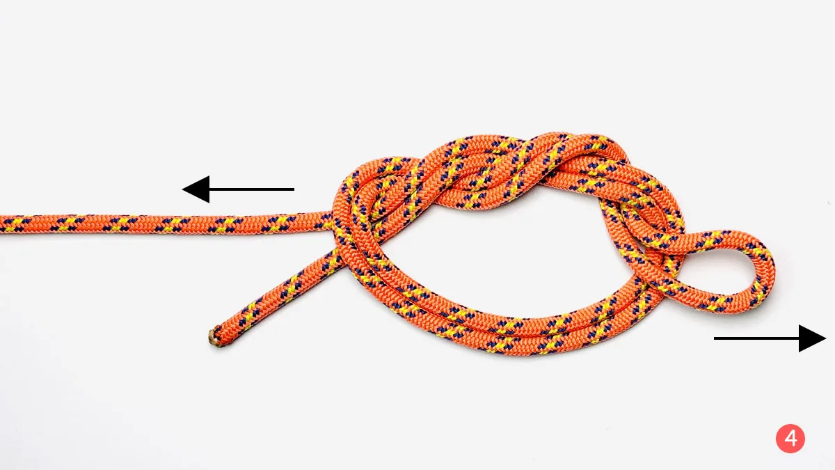 surgeon's-loop-knot-step-4-how-to-tie-a-surgeon's-loop-knot-knotspedia surgeon's-loop-knot-step-4-how-to-tie-a-surgeon's-loop-knot-knotspedia