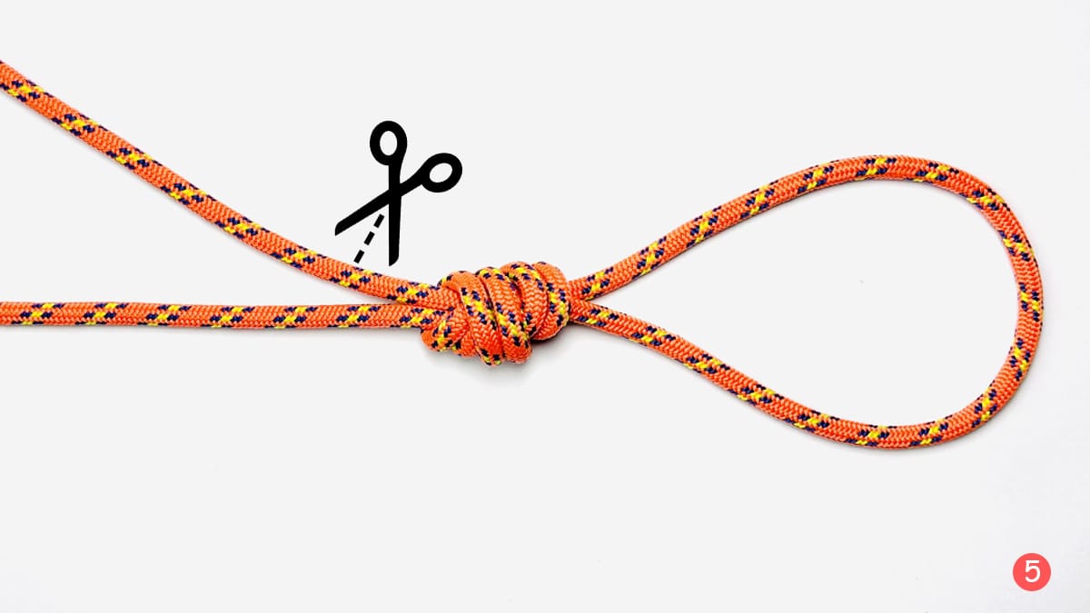 surgeon's-loop-knot-step-5-how-to-tie-the-surgeon's-loop-knot-knotspedia surgeon's-loop-knot-step-5-how-to-tie-the-surgeon's-loop-knot-knotspedia