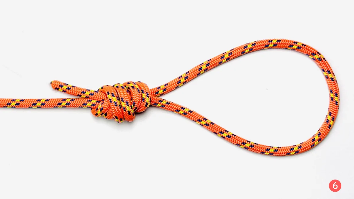 surgeon's-loop-knot-step-6-how-to-tie-the-surgeon's-loop-knot-knotspedia surgeon's-loop-knot-step-6-how-to-tie-the-surgeon's-loop-knot-knotspedia