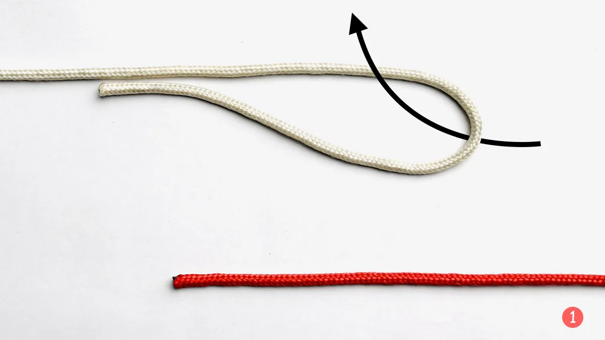albright knot step 1 how to tie an albright knot knotspedia