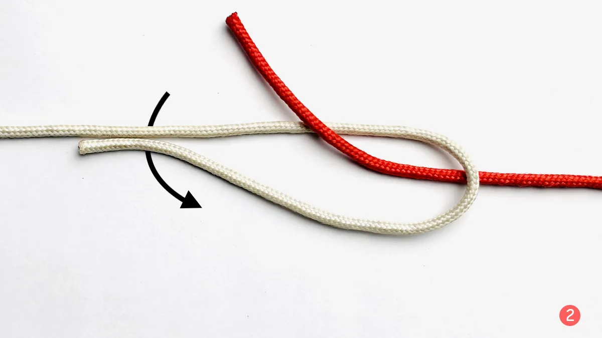 albright knot step 2 how to tie the albright knot knotspedia