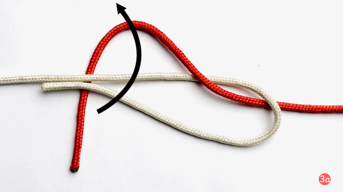 albright-knot-step-3a-how-to-tie-an-albright-knot-knotspedia