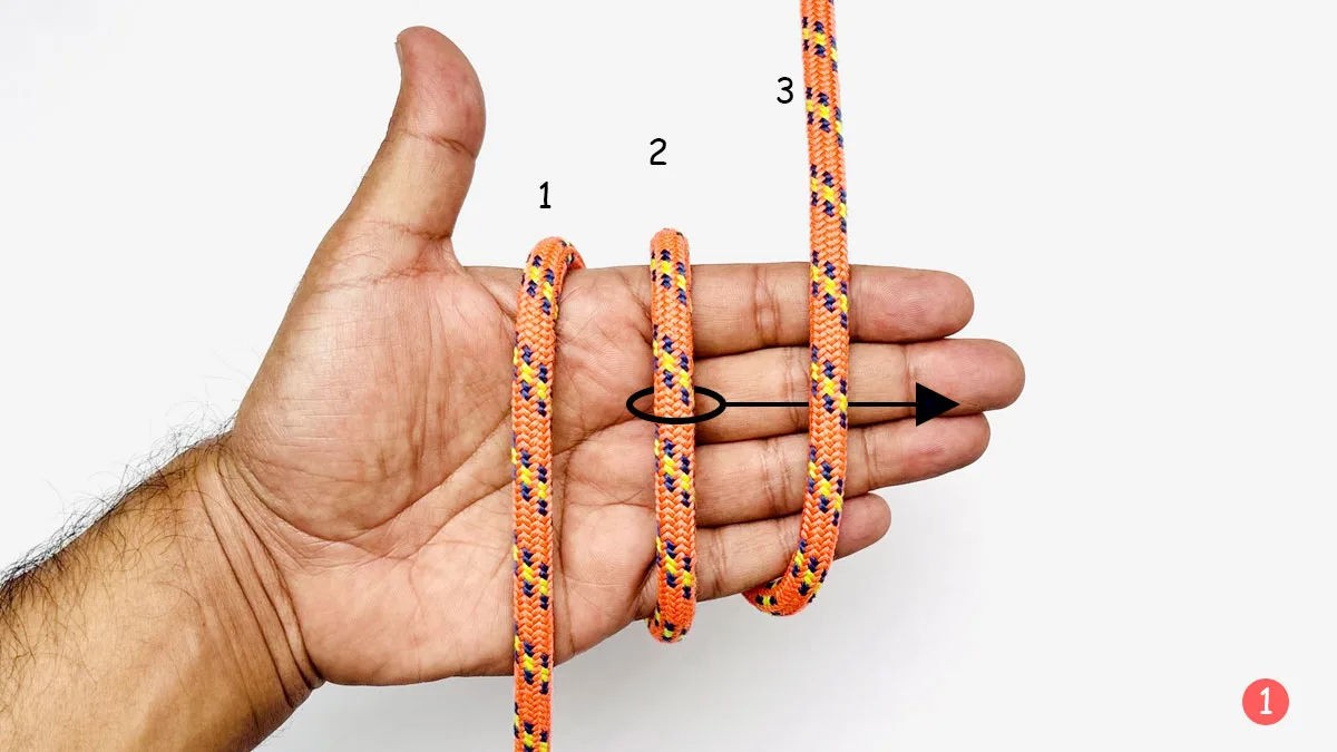 alpine-butterfly-knot-hand-wrap-method-step-1-how-to-tie-the-alpine-butterfly-knot-knotspedia alpine-butterfly-knot-hand-wrap-method-step-1-how-to-tie-the-alpine-butterfly-knot-knotspedia