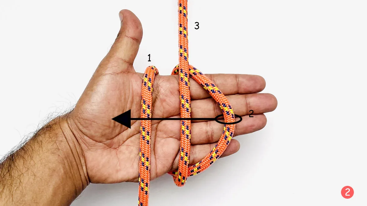 alpine-butterfly-knot-hand-wrap-method-step-2-how-to-tie-the-alpine-butterfly-knot-knotspedia alpine-butterfly-knot-hand-wrap-method-step-2-how-to-tie-the-alpine-butterfly-knot-knotspedia