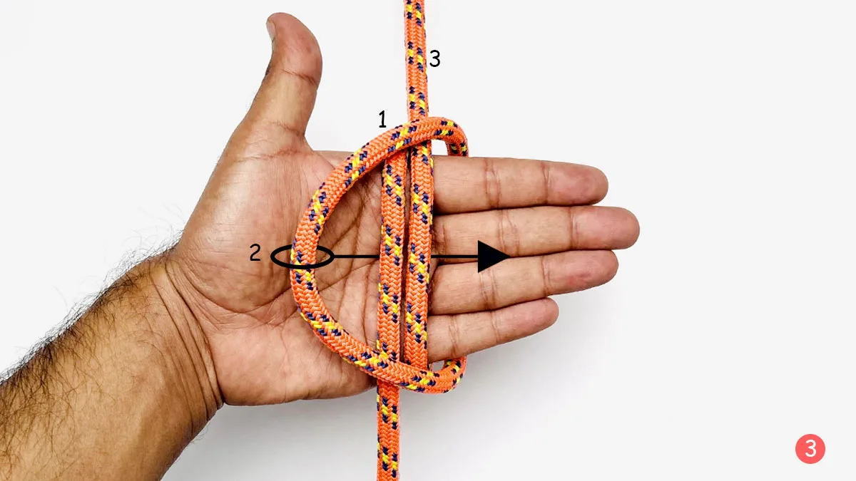 alpine-butterfly-knot-hand-wrap-method-step-3-how-to-tie-the-alpine-butterfly-knot-knotspedia alpine-butterfly-knot-hand-wrap-method-step-3-how-to-tie-the-alpine-butterfly-knot-knotspedia