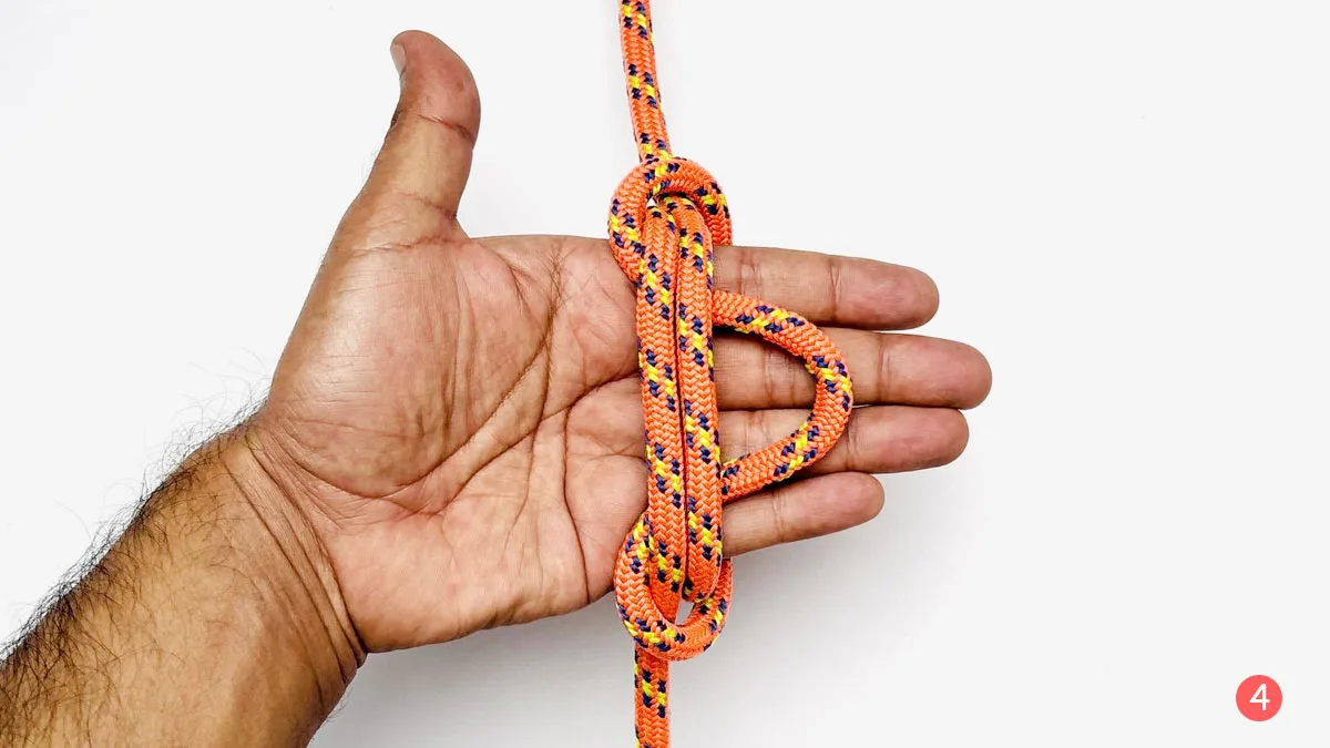 alpine-butterfly-knot-hand-wrap-method-step-4-how-to-tie-the-alpine-butterfly-knot-knotspedia alpine-butterfly-knot-hand-wrap-method-step-4-how-to-tie-the-alpine-butterfly-knot-knotspedia