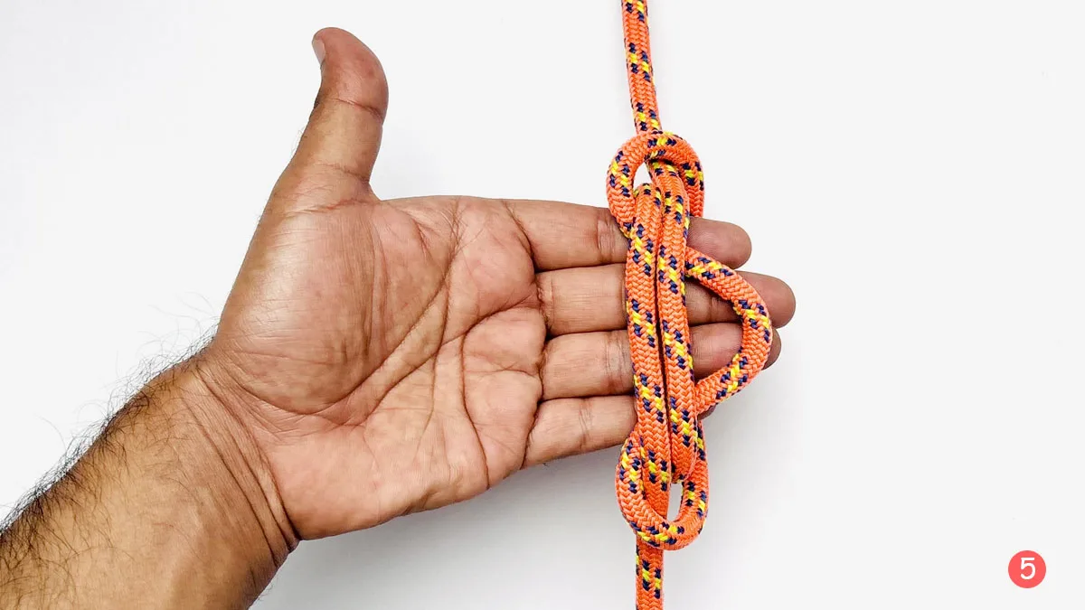 alpine-butterfly-knot-hand-wrap-method-step-5-how-to-tie-the-alpine-butterfly-knot-knotspedia alpine-butterfly-knot-hand-wrap-method-step-5-how-to-tie-the-alpine-butterfly-knot-knotspedia
