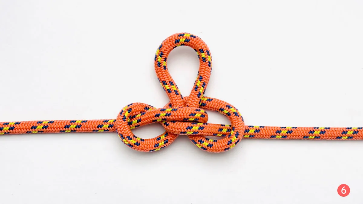 alpine-butterfly-knot-hand-wrap-method-step-6-how-to-tie-the-alpine-butterfly-knot-knotspedia alpine-butterfly-knot-hand-wrap-method-step-6-how-to-tie-the-alpine-butterfly-knot-knotspedia