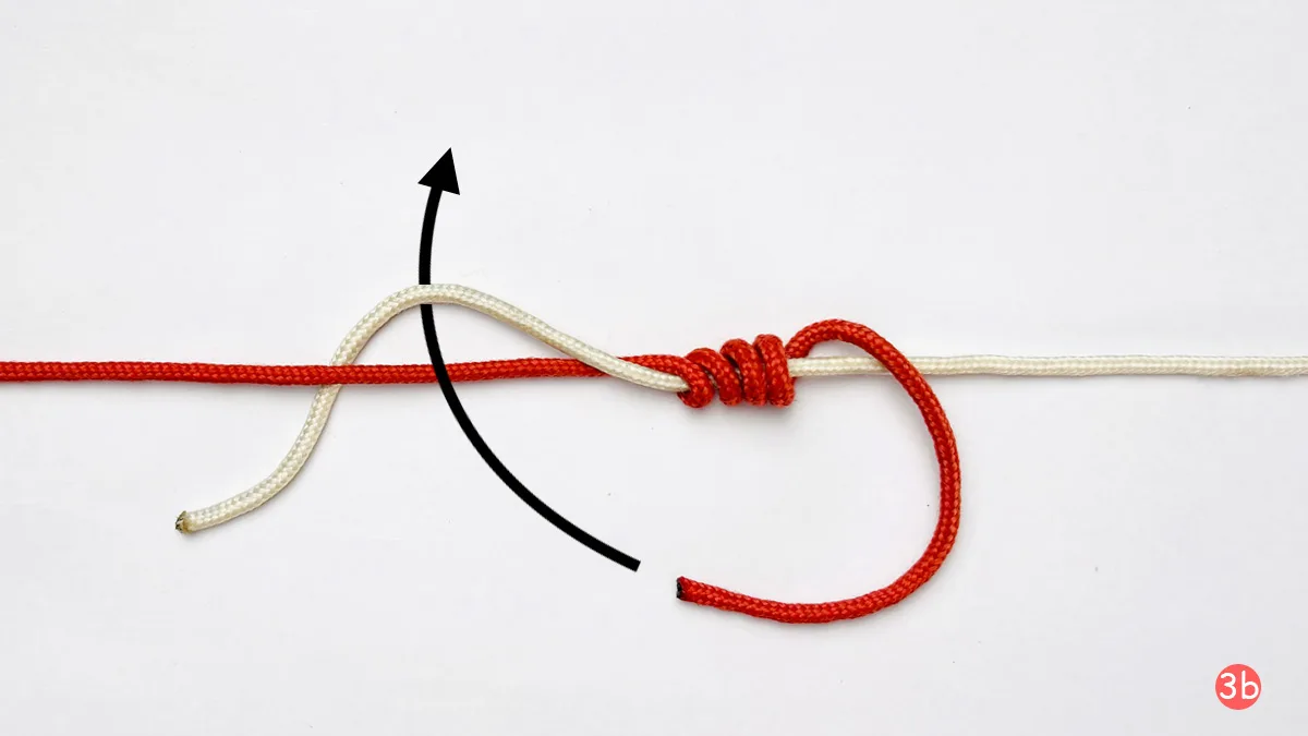 blood-knot-step-3b-how-to-tie-the-blood-knot-knotspedia blood-knot-step-3b-how-to-tie-the-blood-knot-knotspedia