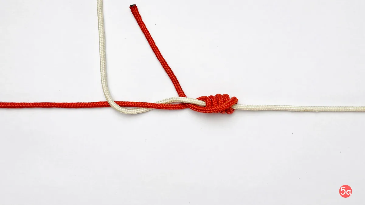 blood-knot-step-5a-how-to-tie-the-blood-knot-knotspedia blood-knot-step-5a-how-to-tie-the-blood-knot-knotspedia