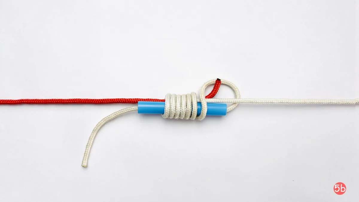 nail-knot-step-5b-how-to-tie-the-nail-knot-knotspedia