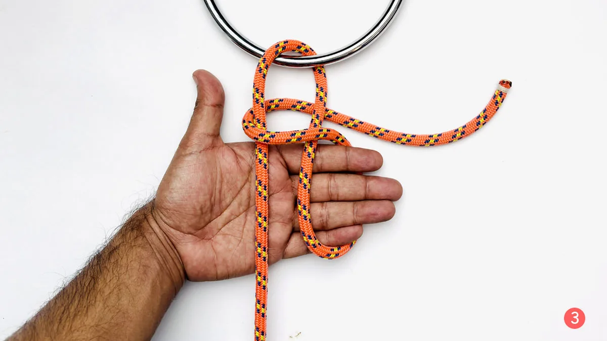 siberian-hitch-step3-how-to-tie-the-siberian-hitch-knotspedia