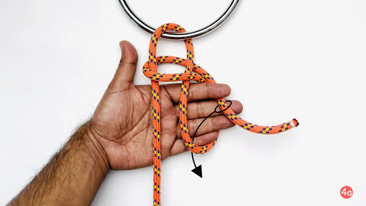 siberian-hitch-step4a-how-to-tie-the-siberian-hitch-knotspedia
