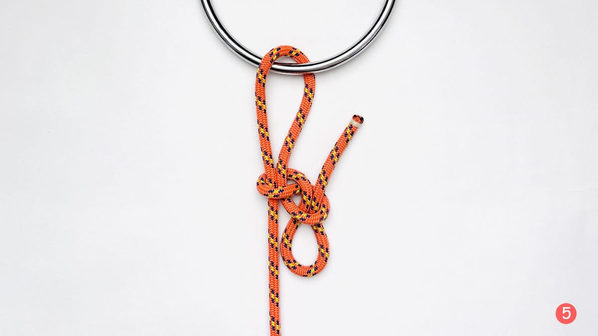 siberian-hitch-step5-how-to-tie-the-siberian-hitch-knotspedia