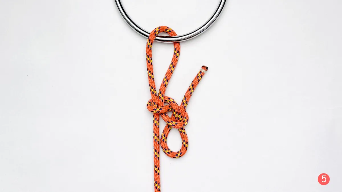 siberian-hitch-step5-how-to-tie-the-siberian-hitch-knotspedia