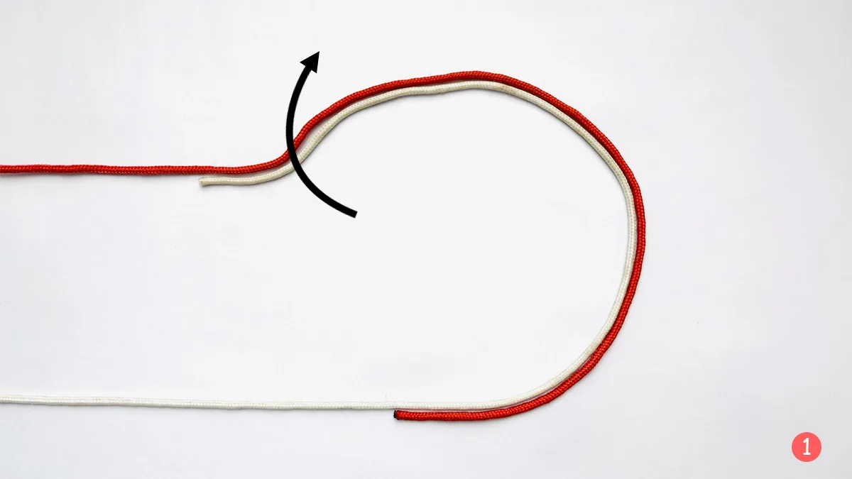 surgeon's-knot-step-1-how-to-tie-the-surgeon's-knot-knotspedia