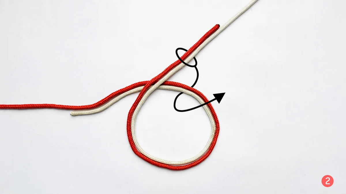 surgeon's-knot-step-2-how-to-tie-the-surgeon's-knot-knotspedia