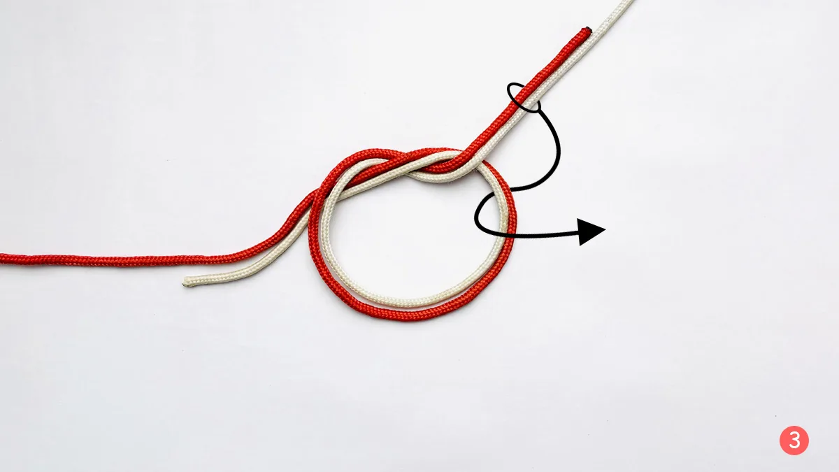 surgeon's-knot-step-3-how-to-tie-the-surgeon's-knot-knotspedia