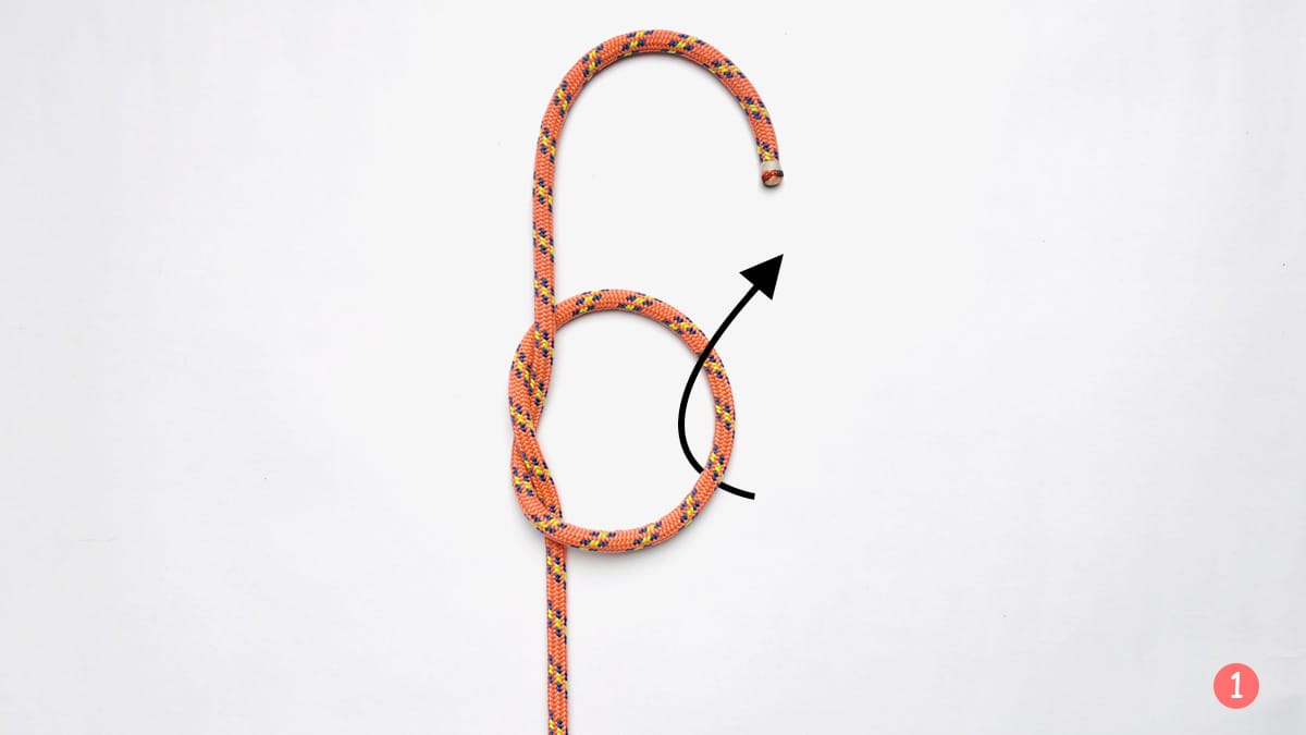 true-lover's-knot-step-1-how-to-tie-the-true-lover's-knot-knotspedia