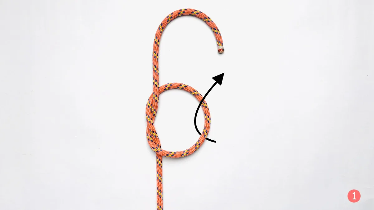 true-lover's-knot-step-1-how-to-tie-the-true-lover's-knot-knotspedia