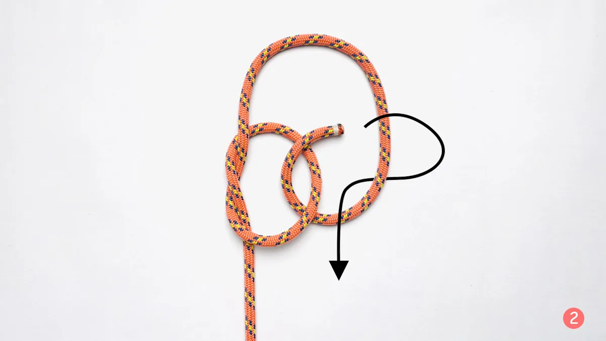 true-lover's-knot-step-2-how-to-tie-the-true-lover's-knot-knotspedia