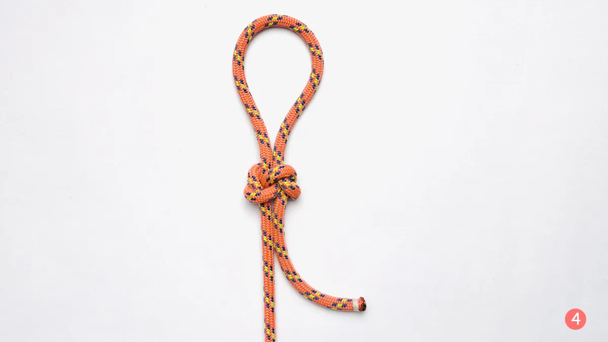 true-lover's-knot-step-4-how-to-tie-the-true-lover's-knot-knotspedia