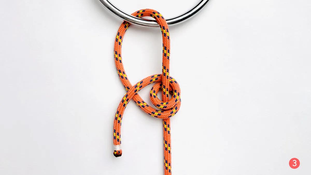 tautline-hitch-step-3-how-to-tie-the-tautline-hitch-knotspedia