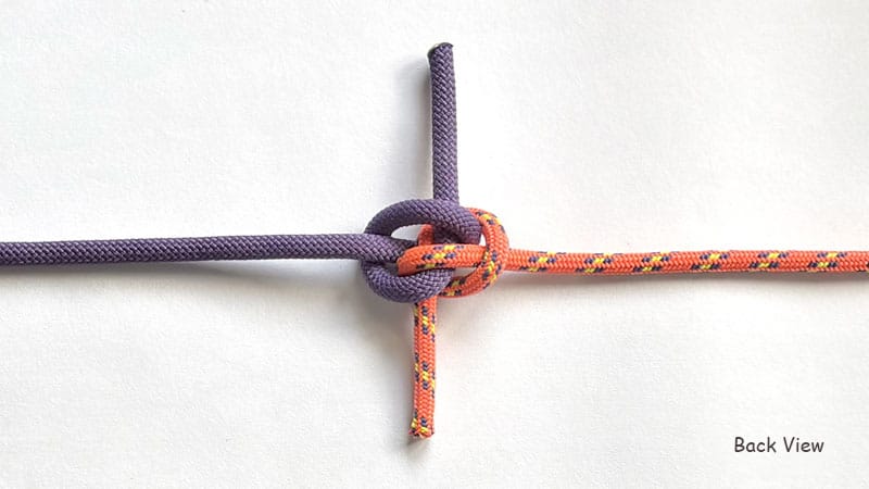 zeppelin-bend-back-view-how-to-tie-the-zeppelin-bend-knotspedia