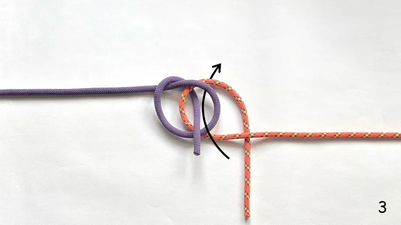 zeppelin-bend-step-3-how-to-tie-the-zeppelin-bend-knotspedia