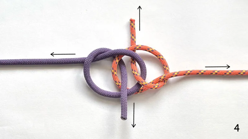 zeppelin-bend-step-4-how-to-tie-the-zeppelin-bend-knotspedia